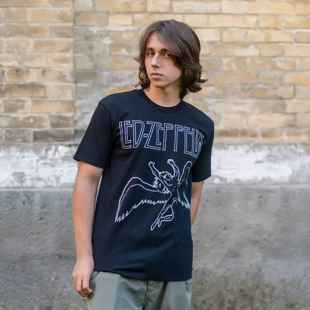 Футболка Led Zeppelin - Swan Song чорна