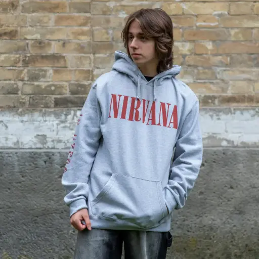 [11842] Худі Nirvana - In Utero світло-сіре меланж